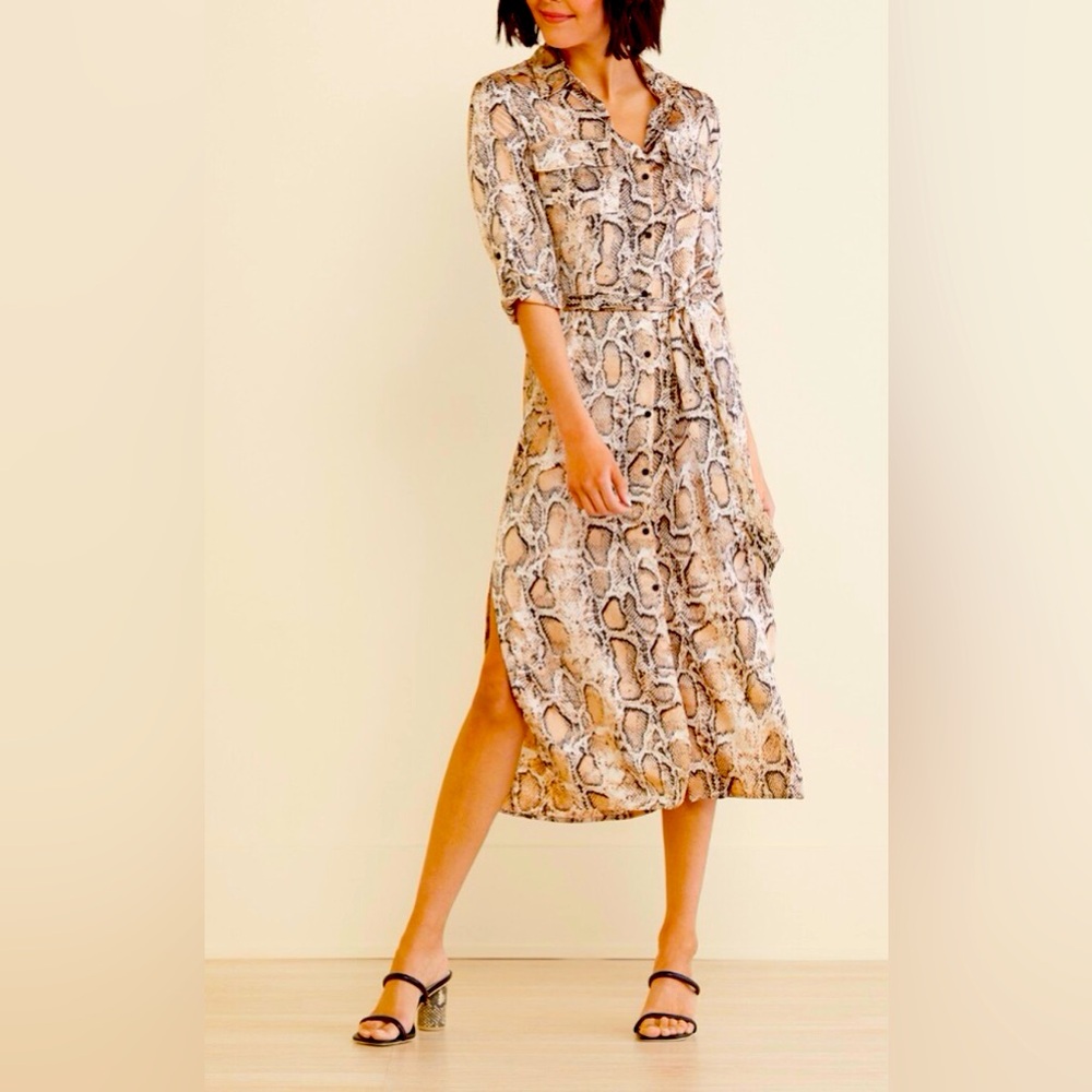 Bb Dakota Python Print Shirt Dress